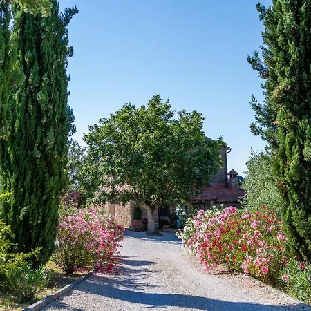 La Bacaia *