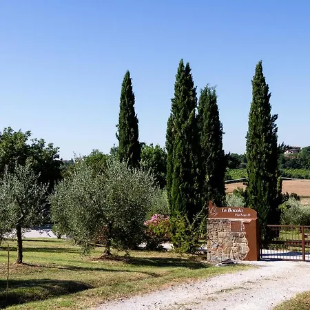 La Bacaia *